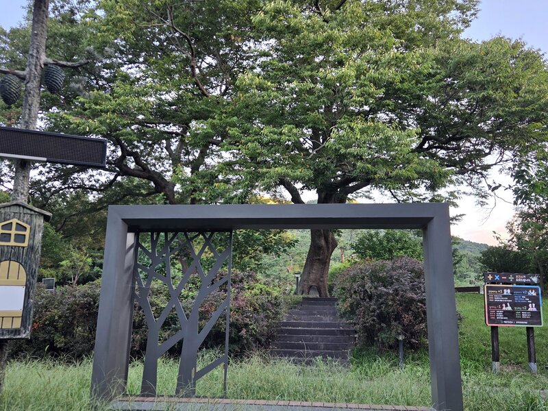 계룡 괴목정 포토존